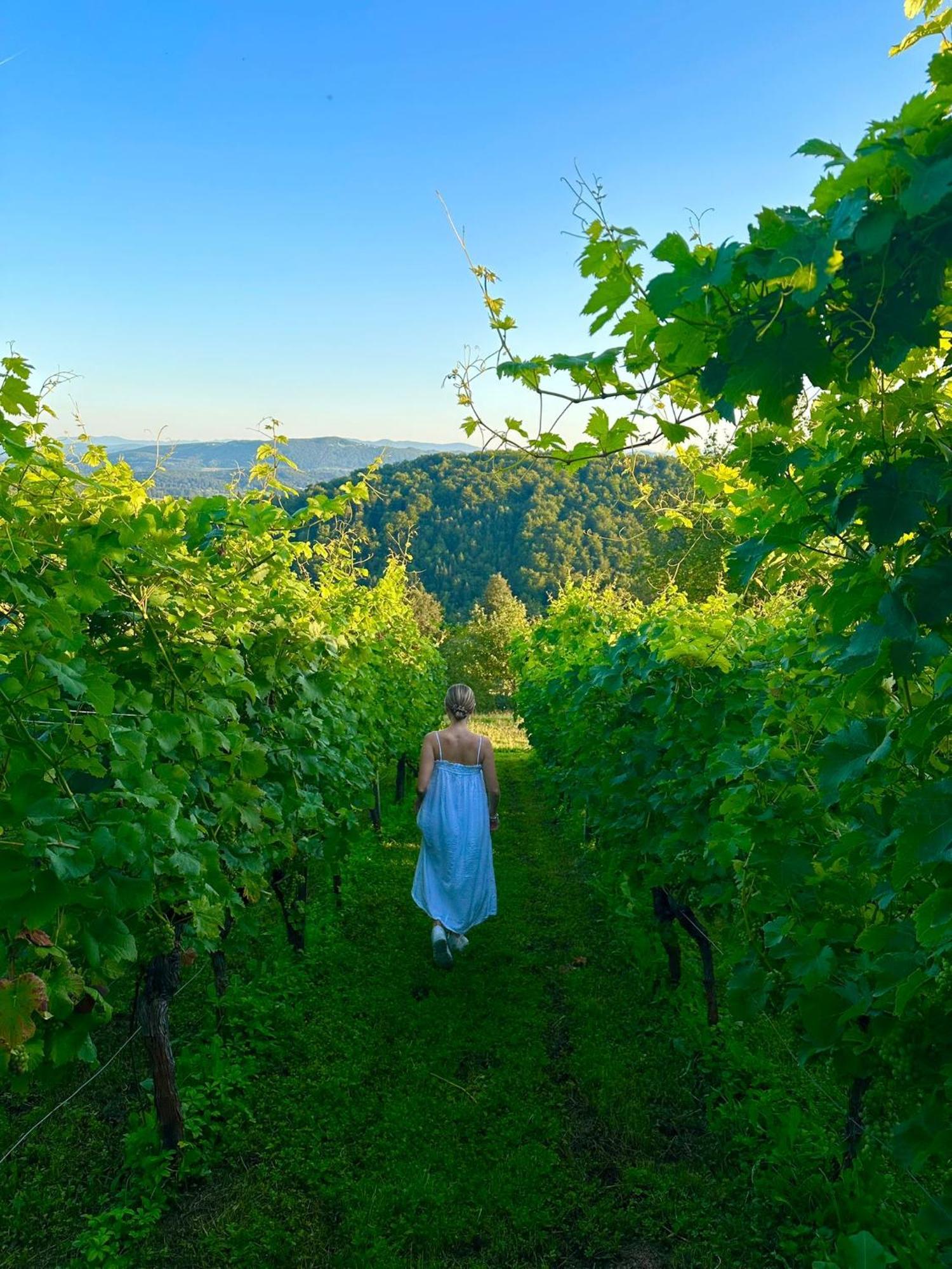Zerko Holiday Home - Vineyard Chalet With Sauna And Jacuzzi Free Mirna Екстериор снимка