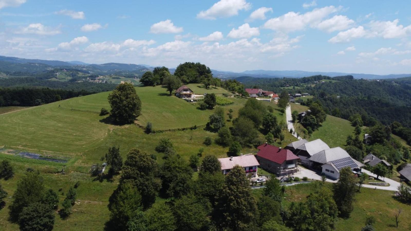 Zerko Holiday Home - Vineyard Chalet With Sauna And Jacuzzi Free Mirna Екстериор снимка