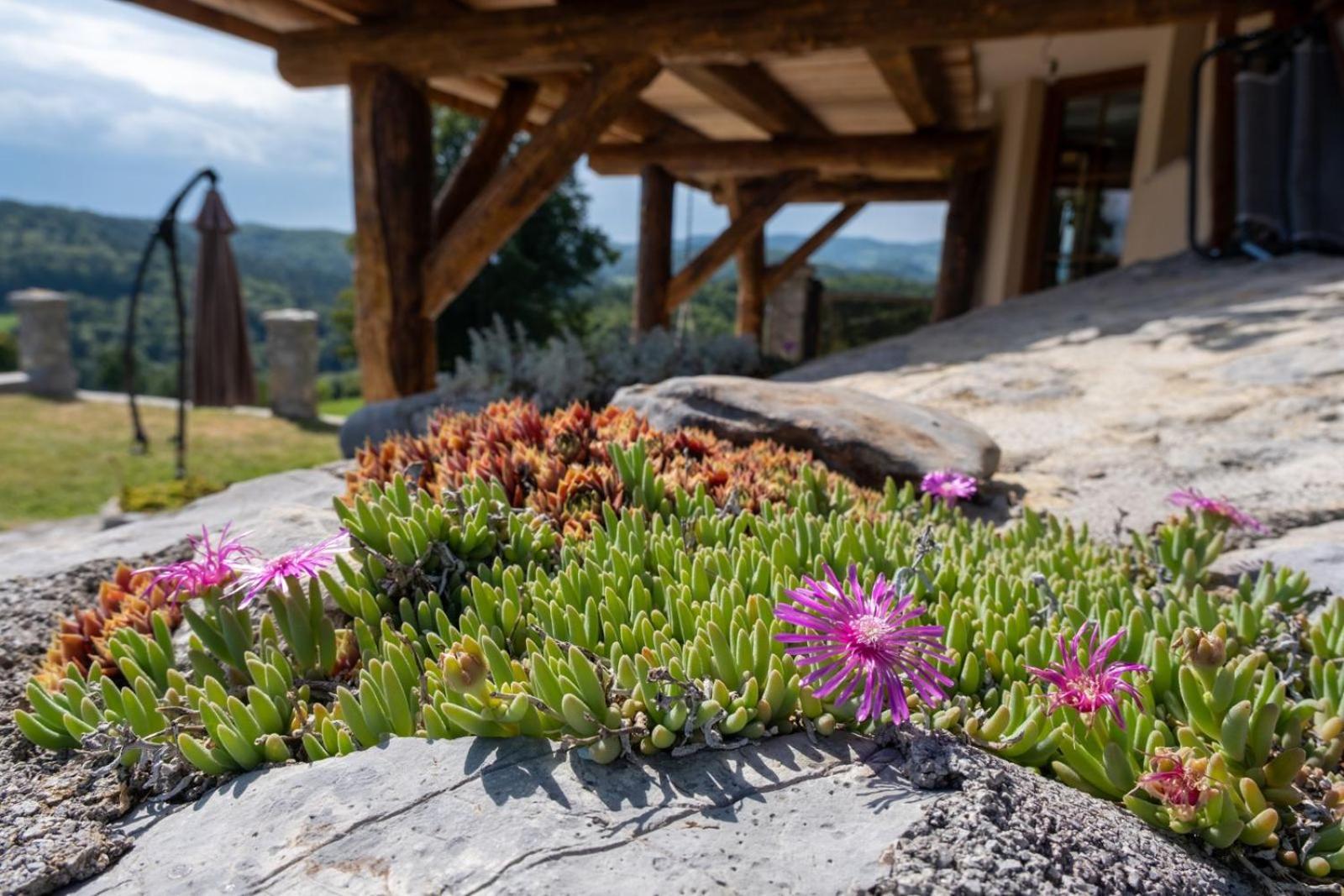 Zerko Holiday Home - Vineyard Chalet With Sauna And Jacuzzi Free Mirna Екстериор снимка